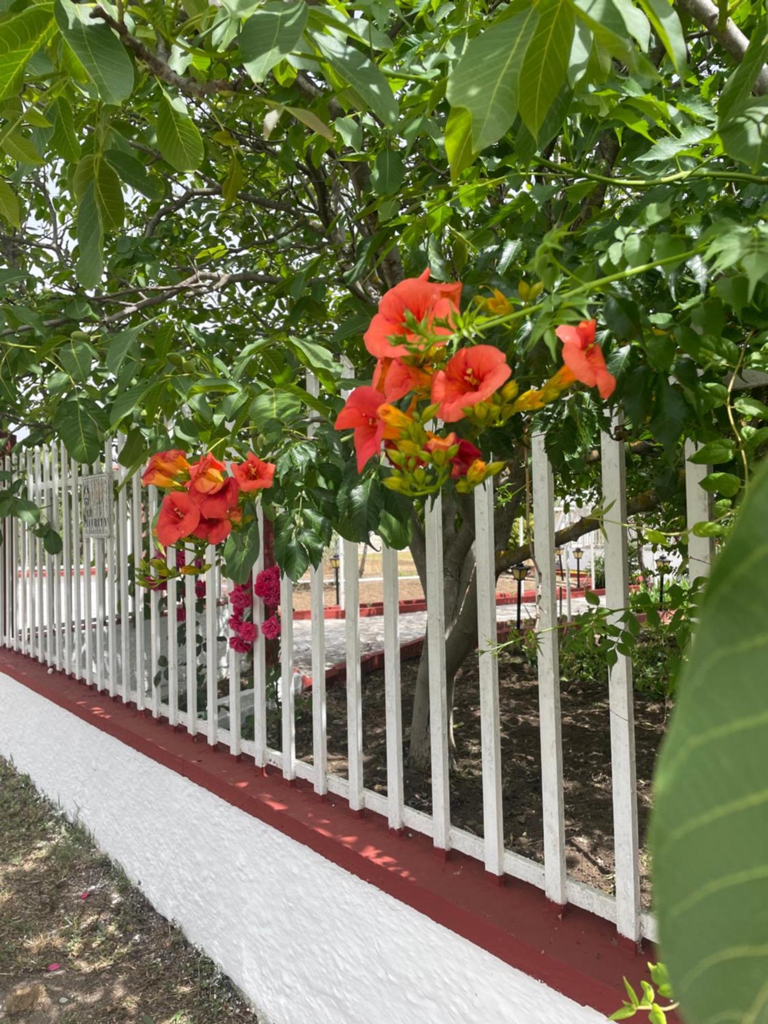 Kal-Vil Villa Nea Kallikrateia ภายนอก รูปภาพ